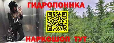 герыч Владивосток