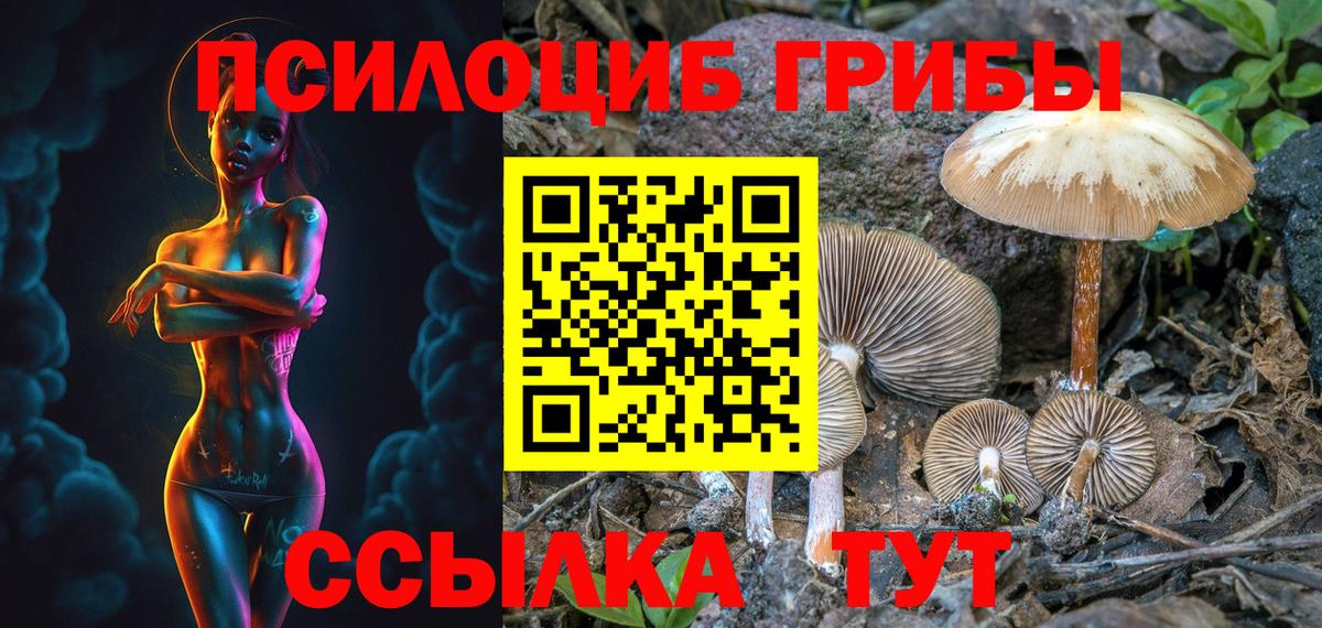 Галлюциногенные грибы мухоморы  Галлюциногенные грибы MAGIC MUSHROOMS  где найти   Вход с VPN  Сердобск 